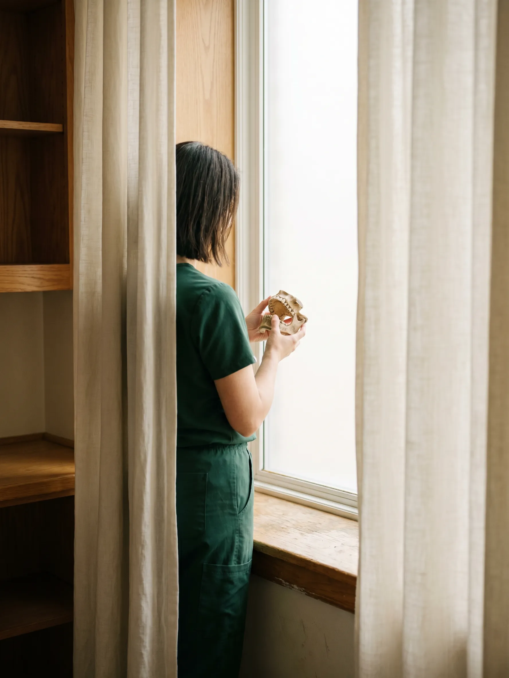 Specialist multidisciplinary TMJ care at Auckland TMJ Centre